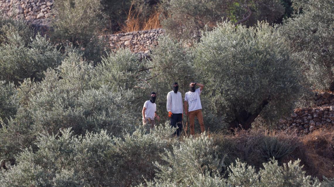 2026-10-10T075525Z_1408821858_RC250OA5EZQR_RTRMADP_3_ISRAEL-PALESTINIANS-SETTLERS-OLIVE-HARVEST.JPG