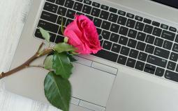 concept-online-dating-rose-on-laptop-computer-ke-2021-08-31-20-14-12-utc.jpg