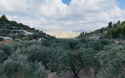 IMG_7046.jpeg