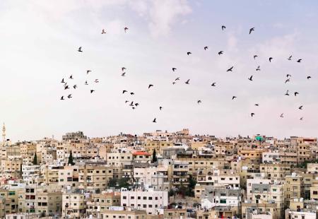 panoramic-view-of-the-city-of-amman-with-flock-of-2021-08-29-18-33-24-utc.jpg