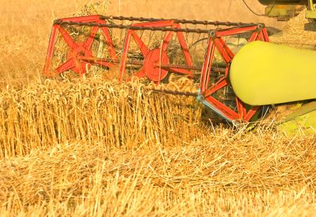 combine-harvester-harvesting-wheat-2022-01-28-11-12-21-utc.jpg