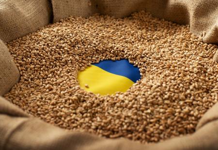 burlap-sack-with-wheat-grains-and-ukrainian-flag-c-2022-08-11-00-35-59-utc.jpg