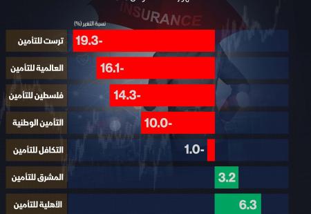 شركات التأمين 9 شهور.jpg