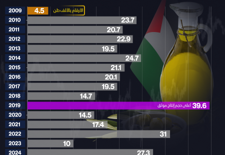 زيت الزيتون 2025.png