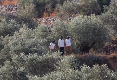 2026-10-10T075525Z_1408821858_RC250OA5EZQR_RTRMADP_3_ISRAEL-PALESTINIANS-SETTLERS-OLIVE-HARVEST.JPG