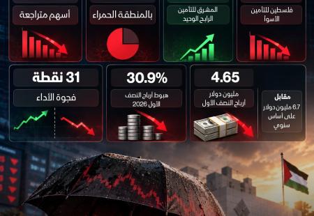 Stormproof Financial Infographic Template.jpg
