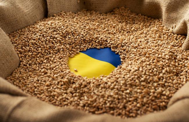 burlap-sack-with-wheat-grains-and-ukrainian-flag-c-2022-08-11-00-35-59-utc.jpg