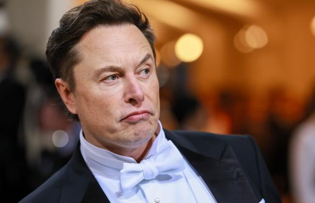 Cropped-1654275228G20220603 Elon Musk MOMA.jpg