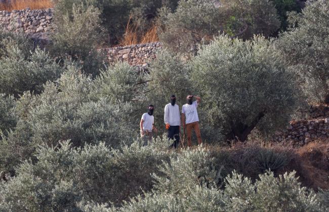 2026-10-10T075525Z_1408821858_RC250OA5EZQR_RTRMADP_3_ISRAEL-PALESTINIANS-SETTLERS-OLIVE-HARVEST.JPG