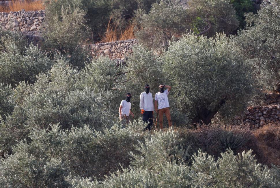 2026-10-10T075525Z_1408821858_RC250OA5EZQR_RTRMADP_3_ISRAEL-PALESTINIANS-SETTLERS-OLIVE-HARVEST.JPG
